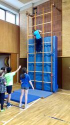 WhatsApp_Image_2018-11-28_at_09.13.27__1_ WhatsApp_Image_2018-11-28_at_09.13.27__1_
