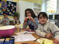IMG_4584 IMG_4584