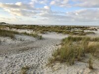 IMG_0382 IMG_0382